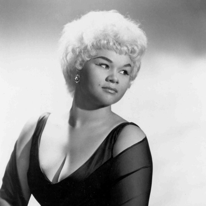 The Complete Private Music Blues, Rock ‘N’ Soul Albums Collection
