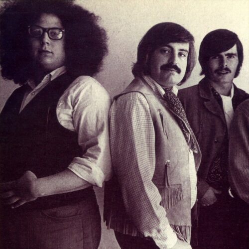 The Turtles
